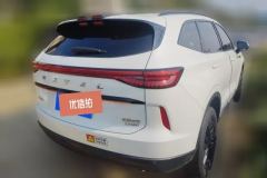 2023 Haval H6 2021 No.3generation 2.0T AT 4WD Supreme+ #3