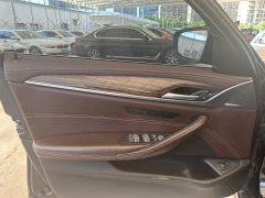 2021 BMW 5 Series 2020 2.0T AT 530LiLeadingLuxury Pkg #28