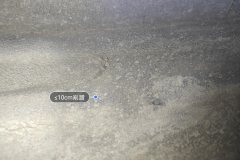 Body Floor