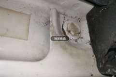 Right Front Fender
