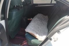 2019 Volkswagen Sagitar 2018 1.6 AT Comfort #11