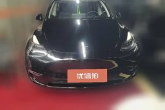 2021 Tesla Model Y 2021StandardBattery lifeRWDEdition #2