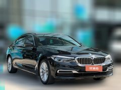 2020 BMW 5 Series 2020 2.0T AT 530LiExclusiveLuxury Pkg #3