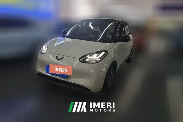 2024 Wuling Motors Wuling Bingo 2023 410kmLingxiExclusive