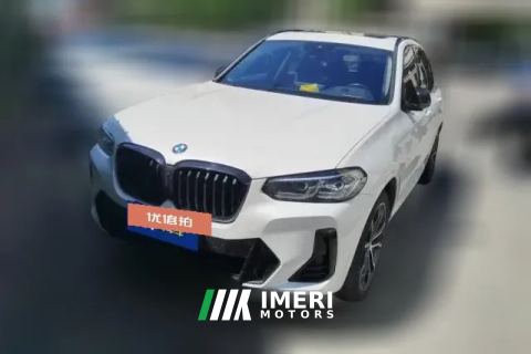 2022 BMW X3 2022 2.0T AT xDrive30i Leading MYaoye suit