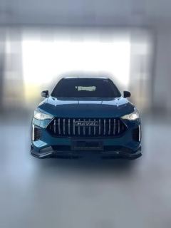2022 Haval Chitu 2022 Power Enjoy 1.5T AT Copper Rabbit #2
