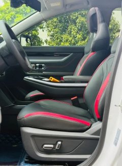 2024 Jetour Dasheng 2024 1.6T AT DCT kingPRO #6