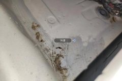 Right Rear Carpet