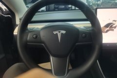 2020 Tesla Model 3 2020 StandardBattery lifeRWDUpgradeEdition #15