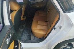 2020 Aion S 2019 Charming 530 EV #11