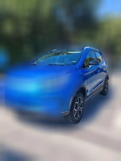 2021 BYD Yuan Pro 2021 want to love1bornEdition #1