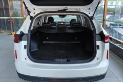 2023 Haval H6 2022 No.3generation 1.5T AT 2WDMax #4