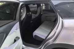 2022 BYD Dolphin 2021 405km Fashion #11