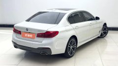 2020 BMW 5 Series 2020 2.0T AT 530LiLeadingMSport Pkg #8