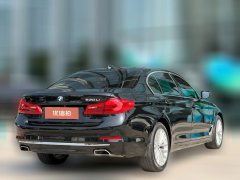 2020 BMW 5 Series 2020 2.0T AT 530LiExclusiveLuxury Pkg #5