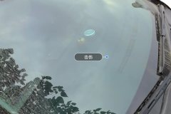 Windshield