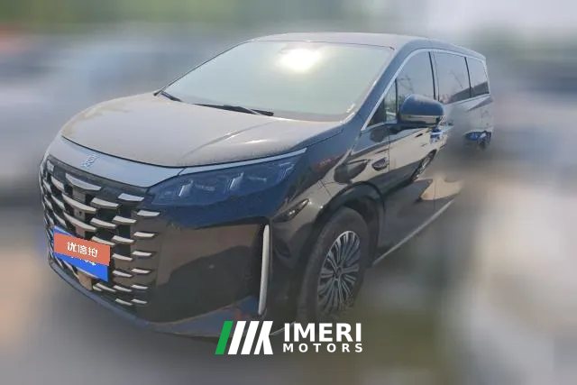 2025 BYD Xia 2025 DM-i 1.5T AT 180km excellence