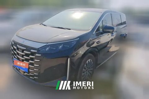 2025 BYD Xia 2025 DM-i 1.5T AT 180km excellence