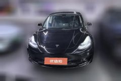 2021 Tesla Model 3 2020 StandardBattery lifeRWDUpgradeEdition #2