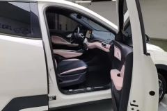 2024 BYD Seagull 2025 305km freeEdition #8