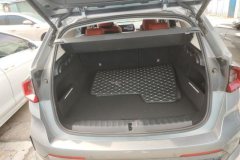 2023 BMW X1 2023 2.0T AT xDrive25Li XDesign Pkg #4
