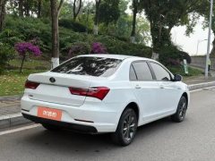 2020 BYD Qin 2019 1.5 AT Luxury #9