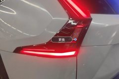 Left Rear Taillight Assembly