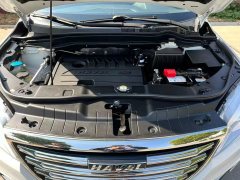 2019 Haval H6 2018 1.5T AT Red LabelSportElite FWD #8