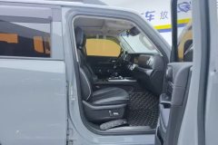 2021 Tank 300 2021 Off-road 2.0TAT conqueror #8