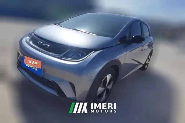 2023 BYD Dolphin 2023 420km Fashion