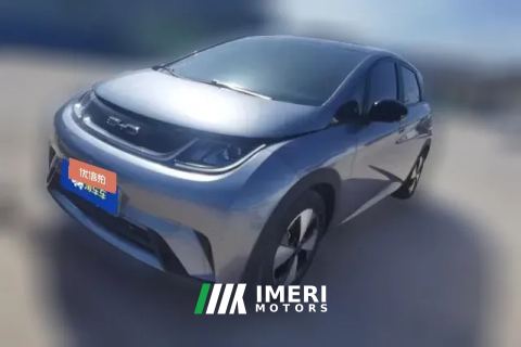 2023 BYD Dolphin 2023 420km Fashion