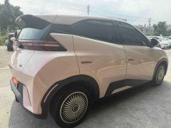 2024 BYD Seagull 2023 vitalityEdition #12