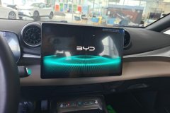 2025 BYD Dolphin 2025 Smart Drive 410km Fashion #13