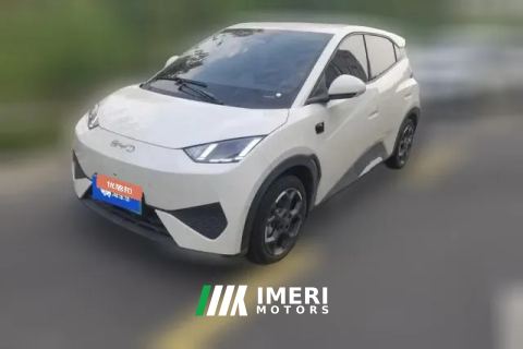 2025 BYD Seagull 2025 Smart Drive 405km flyEdition