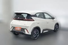 2024 BYD Seagull 2025 305km freeEdition #2