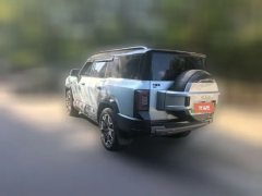 2024 Fangchengbao Bao8 2025 ZhiyongFlagship 7Seat #5