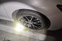 2022 Toyota Camry 2021 2.0S AT Feng ShangEdition #6