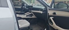 2024 BYD Yuan UP 2024 401KM Leading #6