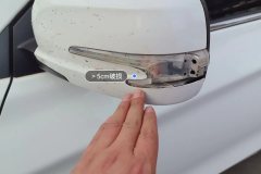 Left Exterior Mirror