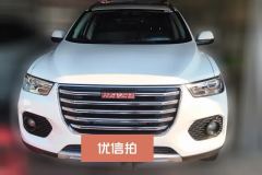 2017 Haval H2s 2017 1.5T AT Red LabelElite #2
