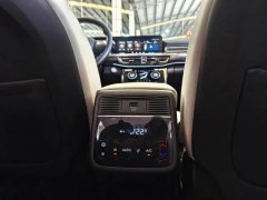 2021 Exeed Lanyue 2021 2.0T AT 390T 4WDStar Premium #14