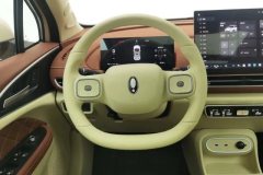 2025 Ora Good Cat 2025 430km Luxury #15