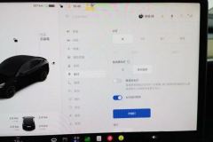 2022 Tesla Model Y 2021StandardBattery lifeRWDEdition #24