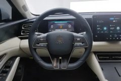 2025 BYD Qin L 2024 1.5L AT DM-i 80KMSurpass #15