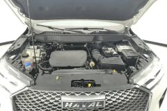 2023 Haval H6 2022 No.3generation 1.5T AT 2WDPro #10
