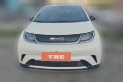 2023 BYD Dolphin 2023 420km Fashion #2