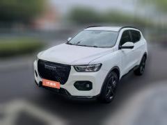2020 Haval H6 2021 2.0T AT GTLuxuryGDI #1