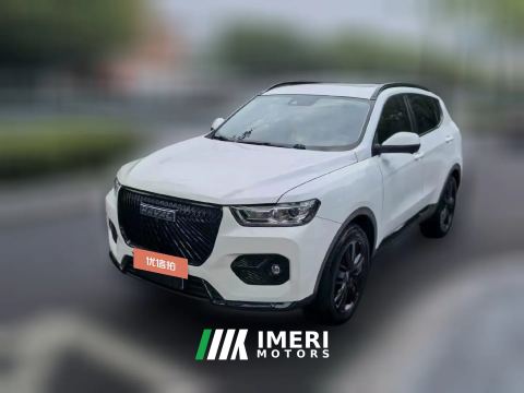 2020 Haval H6 2021 2.0T AT GTLuxuryGDI