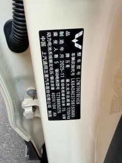 2025 Wuling Motors Wuling Bingo S 2025 430km Exclusive #15