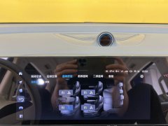 2024 Voyah Dreamer 2024 1.5T AT PHEV SuperLong RangeFlagship #15